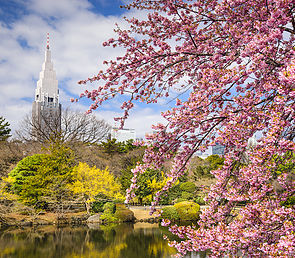 Japanese garden